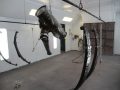 171