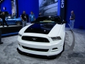 SEMA 2012 044