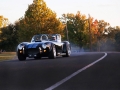Todds_art039 MK4